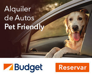 Alquiler de autos Pet Friendly
